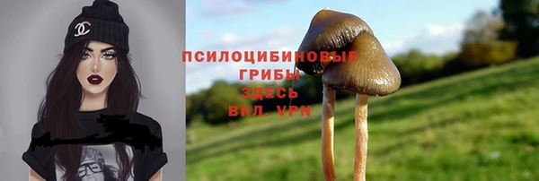 соль ск Абаза