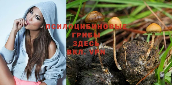 кокс Абдулино