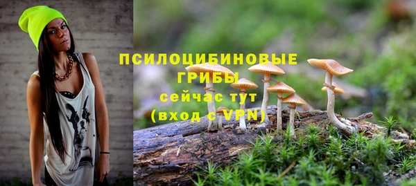 гидропоника Абинск
