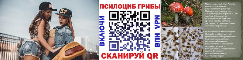 Псилоцибиновые грибы MAGIC MUSHROOMS  наркотики  Балахна 